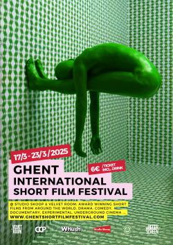 Film festival posters-34